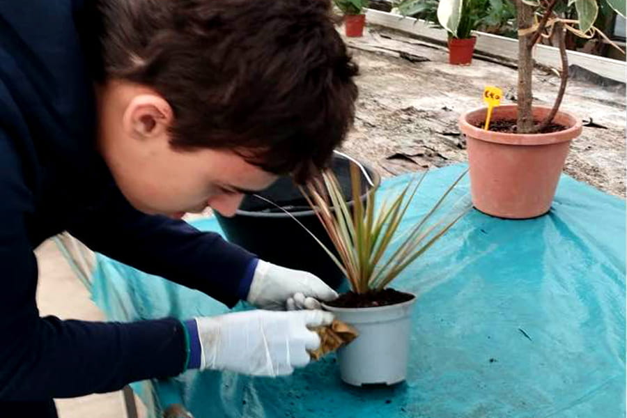 L’Orto dell’Inclusione: Coltivare competenze e relazioni per una comunità solidale